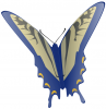 +bug+insect+flying+butterfly+flying+away+ clipart