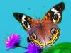 +bug+insect+flying+butterfly+graphic+2+ clipart