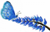 +bug+insect+flying+mission+blue+butterfly+ clipart