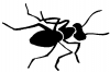 +bug+insect+pest+ant+4+ clipart