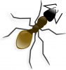 +bug+insect+pest+ant+realistic+color+ clipart