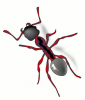 +bug+insect+pest+ant+red+stylized+ clipart