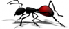 +bug+insect+pest+ant+with+shadow+ clipart