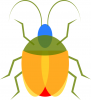 +bug+insect+pest+bug+colorful+ clipart