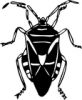 +bug+insect+pest+bug+large+black+ clipart
