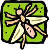 +bug+insect+pest+insect+10+ clipart