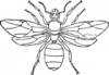 +bug+insect+pest+queen+ant+ clipart