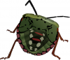 +bug+insect+pest+tick+like+bug+ clipart