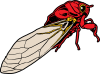 +bug+insect+pest+Cicada+ clipart