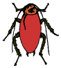+bug+insect+pest+american+cockroach+ clipart