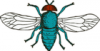 +bug+insect+pest+blue+bottle+fly+ clipart