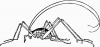 +bug+insect+pest+cricket+2+ clipart