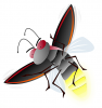 +bug+insect+pest+firefly+ clipart
