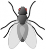+bug+insect+pest+fly+01+ clipart