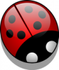+bug+insect+pest+glossy+ladybug+ clipart