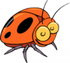 +bug+insect+pest+insect+beetle+orange+ clipart