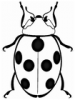 +bug+insect+pest+ladybug+BW+ clipart