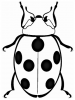 +bug+insect+pest+ladybug+BW+ clipart