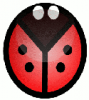 +bug+insect+pest+ladybug+abstracted+ clipart