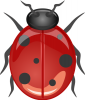 +bug+insect+pest+ladybug+glossy+dark+red+ clipart