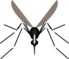 +bug+insect+pest+mosquito+ clipart