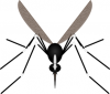 +bug+insect+pest+mosquito+ clipart