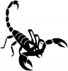 +bug+insect+pest+scorpion+BW+ clipart