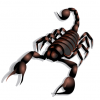 +bug+insect+pest+scorpion+art+ clipart