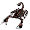 +bug+insect+pest+scorpion+art+ clipart