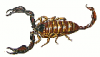 +bug+insect+pest+scorpion+fat+ clipart