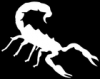 +bug+insect+pest+scorpion+inverted+ clipart