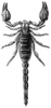 +bug+insect+pest+scorpion+svg+ clipart