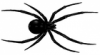 +spider+arachnid+bug+insect+pest+black+widow+ clipart