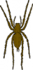 +spider+arachnid+bug+insect+pest+brown+spider+ clipart