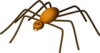 +spider+arachnid+bug+insect+pest+large+brown+spider+ clipart
