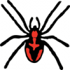 +spider+arachnid+bug+insect+pest+spider+black+red+spots+ clipart