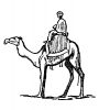+animal+camel+rider+2+ clipart