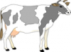 +animal+farm+livestock+cow+03+ clipart