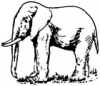 +animal+mammal+Elephantidae+elephant+drawing+ clipart