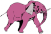 +animal+mammal+Elephantidae+elephant+pink+angry+ clipart