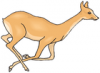 +animal+Cervidae+Deer+fleeing+ clipart