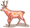 +animal+Cervidae+Red+deer+ clipart