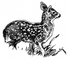 +animal+Cervidae+White+tailed+fawn+ clipart