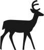 +animal+Cervidae+deer+bold+ clipart