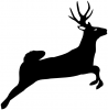 +animal+Cervidae+leaping+deer+silhouette+ clipart