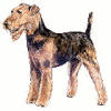 +animal+canine+canid+Airedale+Terrier+ clipart