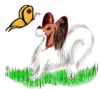 +animal+canine+canid+dog+and+butterfly+ clipart