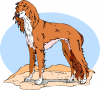 +animal+canine+canid+dog+cartoon+majestic+collie+ clipart