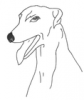 +animal+canine+canid+dog+cartoon+outline+greyhound+growly+ clipart