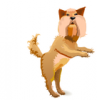 +animal+canine+canid+dog+standing+ clipart